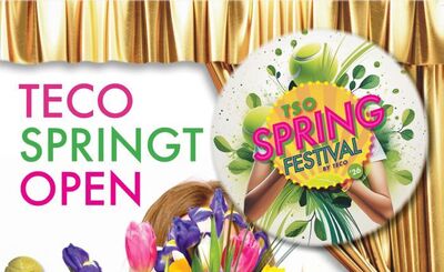 tso-spring-festival-2026